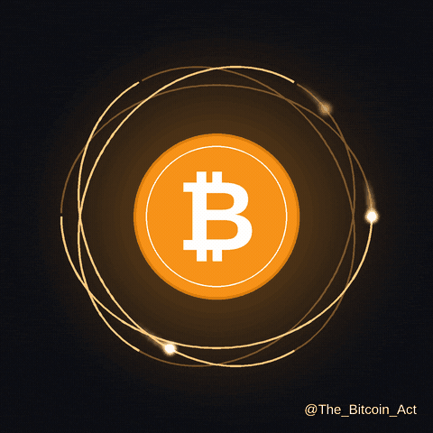 The Bitcoin Act GIF