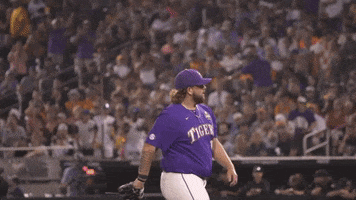 Strike Out Riley Cooper GIF by LSU Tigers