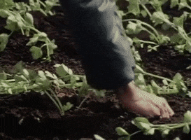Farmer Agriculture GIF by Archives of Ontario | Archives publiques de l'Ontario
