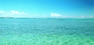 animated ocean gif background