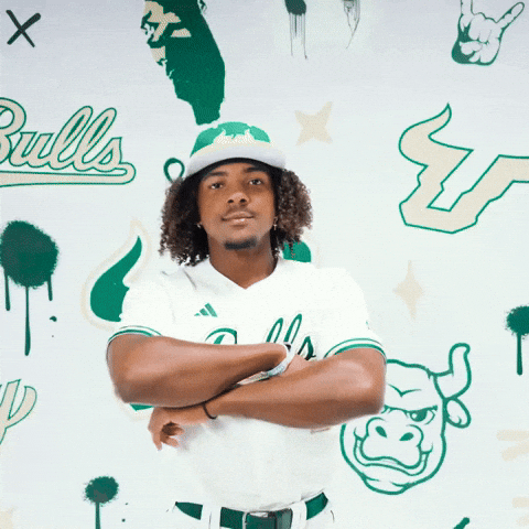 South Florida Baseball GIF by USF Athletics