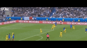 navijacnica #payet #france #euro2016 GIF