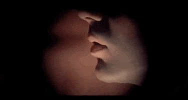 2001 A Space Odyssey Hal GIF by Vulture.com