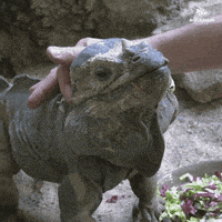 Chill Cuddle Me GIF by Zoo Berlin