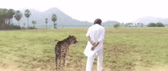 Pawan Kalyan Og GIF
