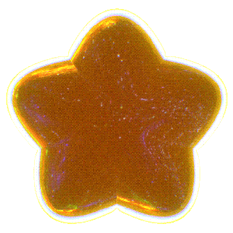 Shining Gold Star Sticker