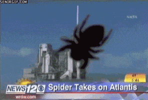 news fail GIF by Cheezburger