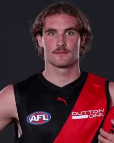 Essendon Bombers GIF