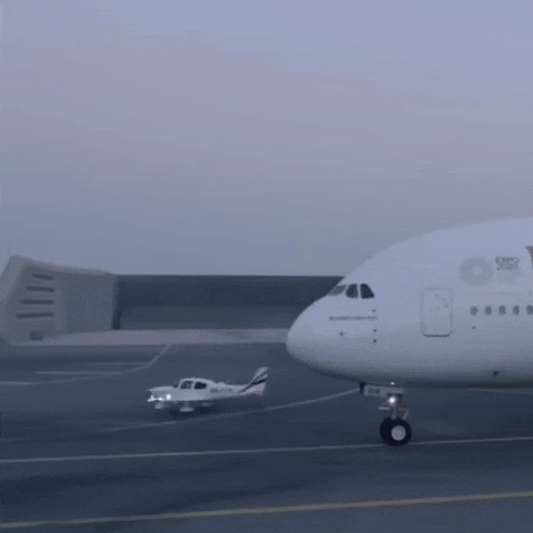 Plane Flying GIF