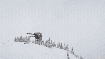 freeskier-magazine  GIF