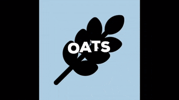 Kate & Carl GIF