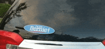 Bernie Sanders GIF by WiperTags Wiper Covers