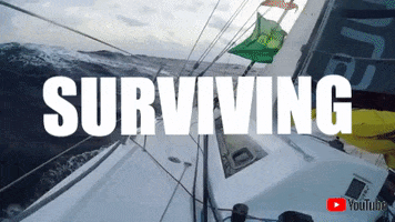 oceanracers sailing ocean racers mustang survival surviving the middle GIF