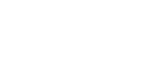 Stevens Nation Sticker