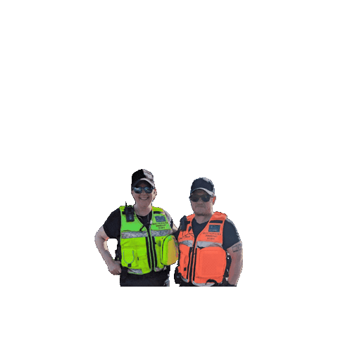 Lappi Security Sticker