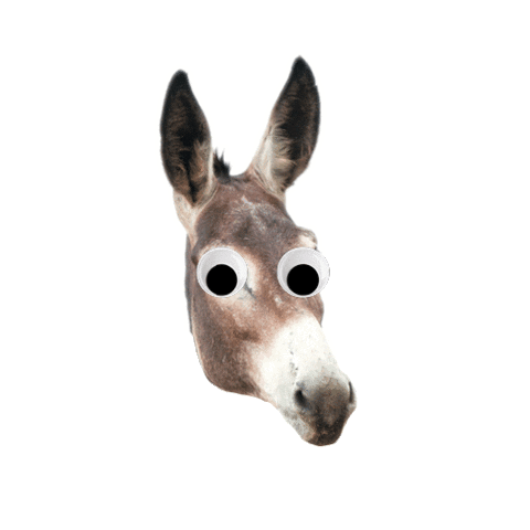 Politics Vote Sticker by DLCC