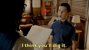 Dig It Sheldon Cooper GIF by CBS