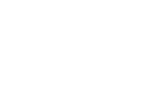 Macaw Brasil Sticker