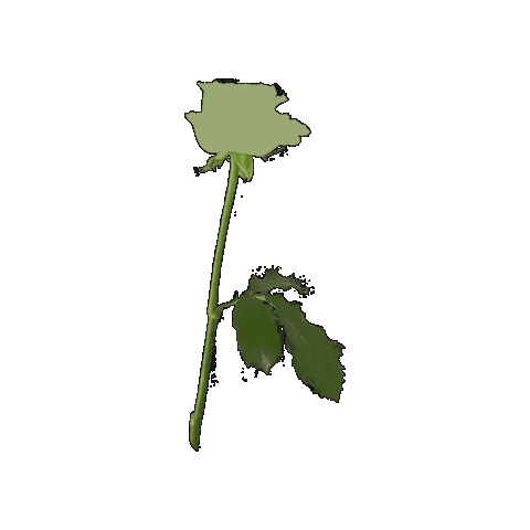 Sticker by Maison de FLEUR