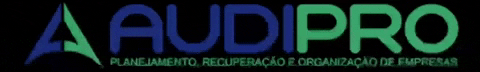 audipro GIF