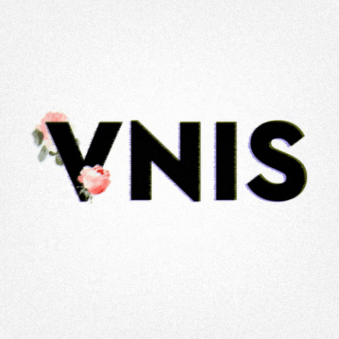 VNIS GIF