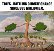 sfdk klima sfpolitik klimahandling træer GIF