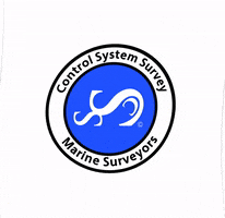 Surveyor GIF by Control System Survey