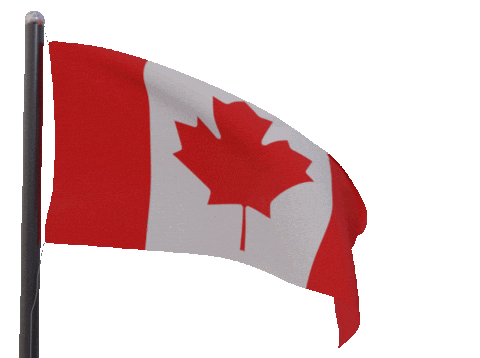 Waving Canadian Sticker by tracheotommy for iOS & Android | GIPHY