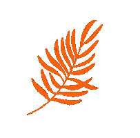 Orange Leaf Sticker by Nubikini