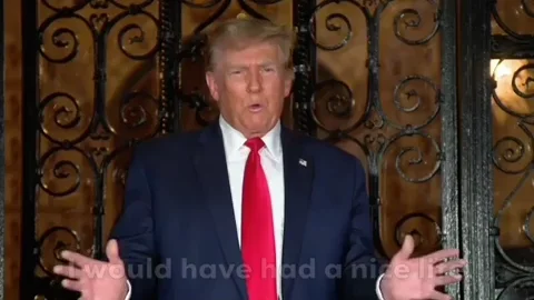 New York Trump GIF
