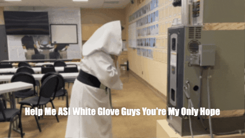 white glove meaning, definitions, synonyms