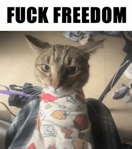 Freedom Freck GIF