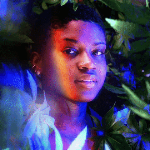 GIF by Helen & Gertrude