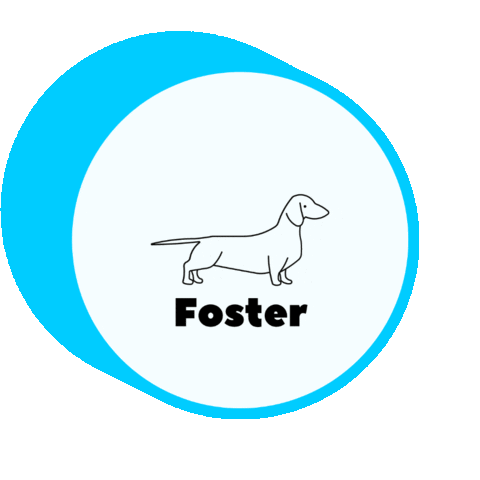 Waggytail Rescue Sticker