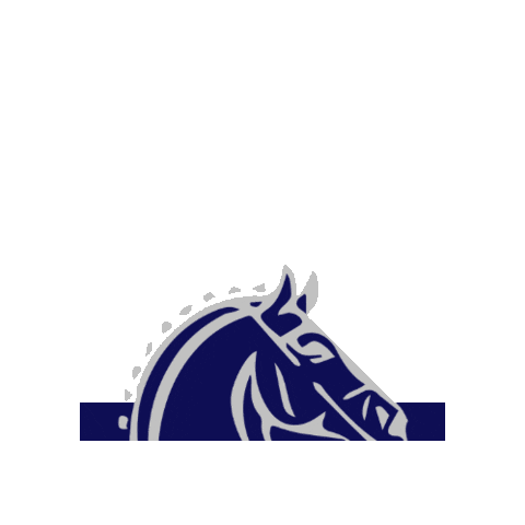 Sellerie de Maé Sticker