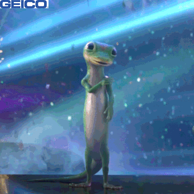 Celebrate New Years Eve GIF by GEICO