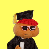 Tarleton-friends GIFs - Get the best GIF on GIPHY