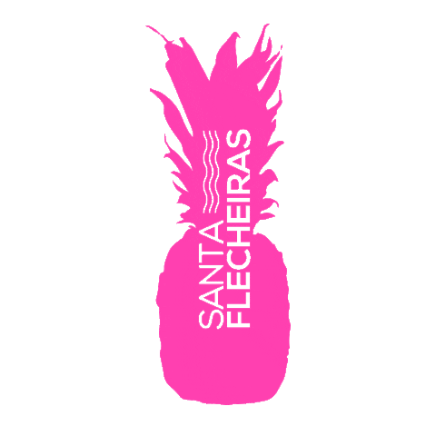 Party Beach Sticker by Santa Flecheiras
