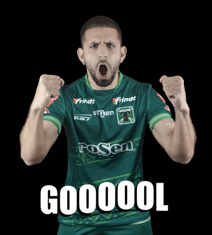 Club Deportes Temuco GIF