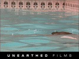 Horror Film Swimming GIF by Unearthed Films