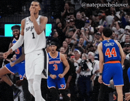 New York Knicks Nba GIF
