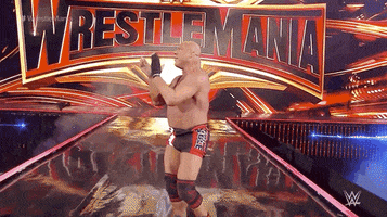 Wrestlemania 35 Sport GIF by WWE