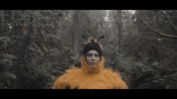 Run Bee GIF by The Head And The Heart