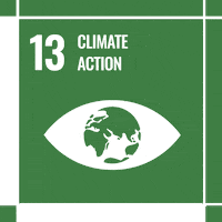 Act4Sdgs GIF by MY World Mexico