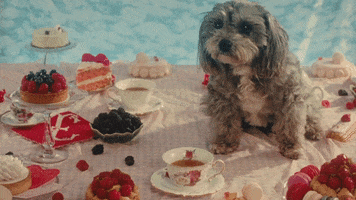 I Miss You Happy Valentines Day GIF by Valentines