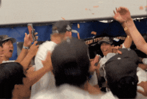 Celebrate Division Iii GIF by uaa_sports