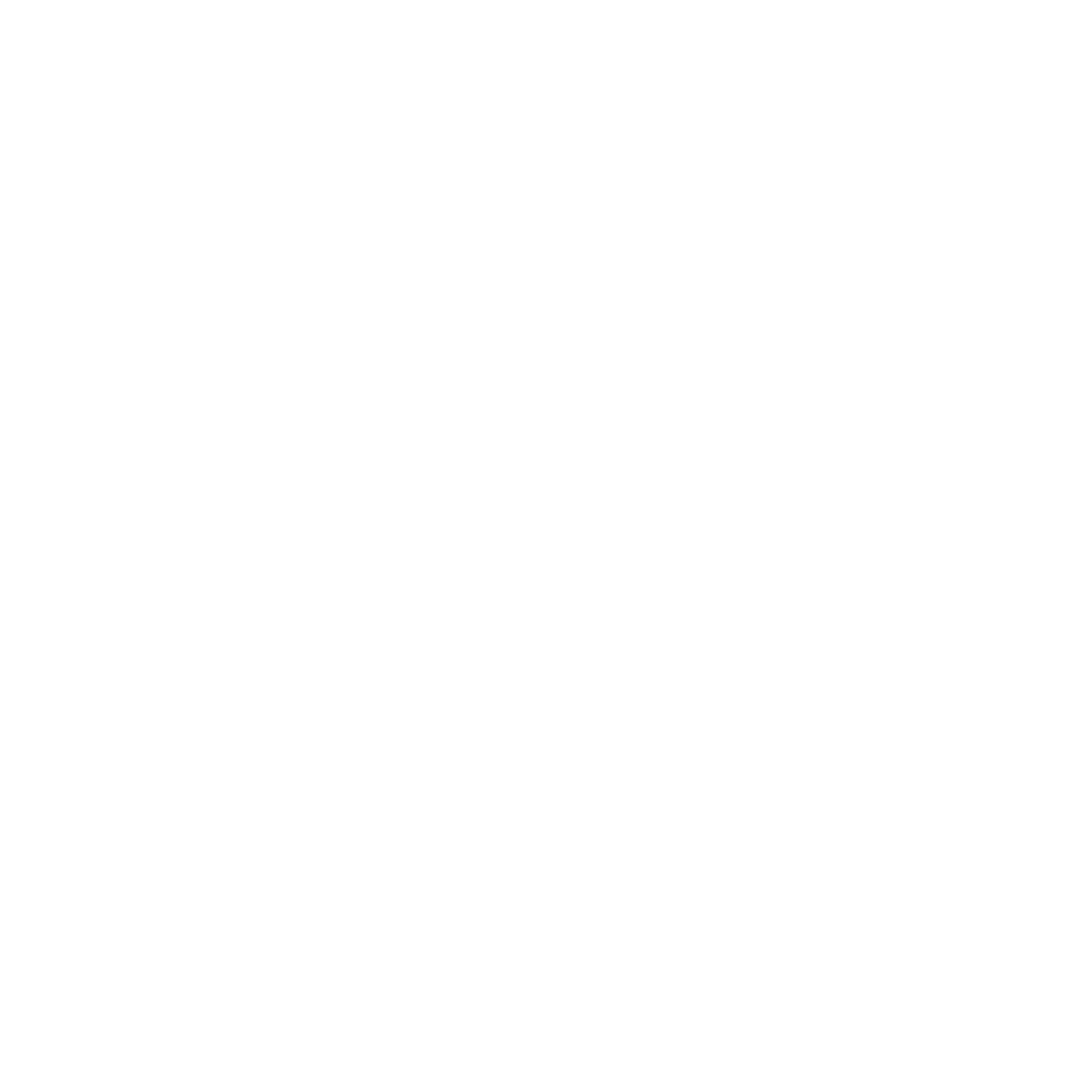Chevrolet Sticker by Planeta Palmas