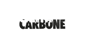 Festival Book Sticker by CartaCarbone