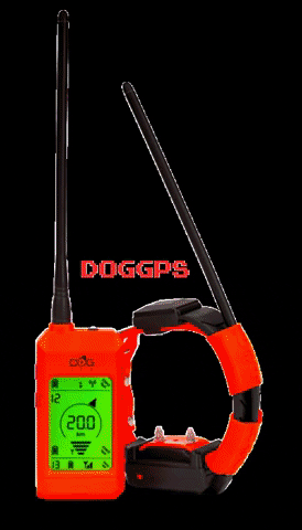 doggps.ru GIF