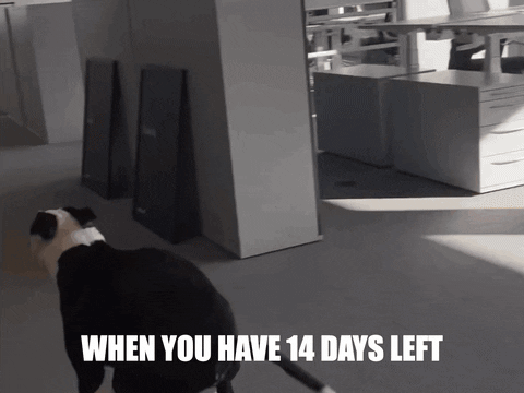 14 days left meme